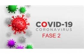 COVID - 19 FASE 2